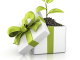 Give Green – Sustainable Gift Ideas for all Occasions