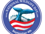 National Wildlife Day Puts Endangered Animal Problem Into Perspective